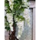 Декоративне дерево біла глицинія 170 см