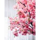 Декоративне дерево Рожева сакура 2,5 метри