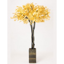 Дерево грошове чорне із золотим листям