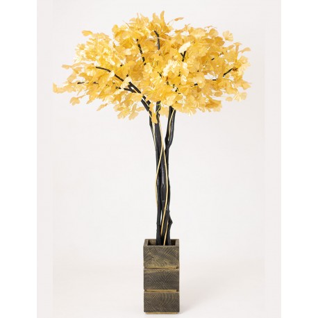 Дерево грошове чорне із золотим листям