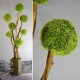 Дерево декоративне з рослинними кулями
