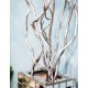 Гілки верби кручені сріблясті для декору