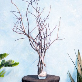 Гілки для декору інтер'єру