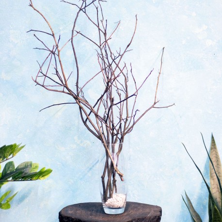 Гілки для декору інтер'єру