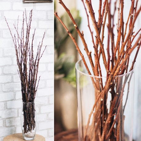 Гілки природні з бруньками для декору
