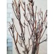Гілки природні для декору екостиль