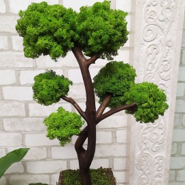 Декоративный бонсай 79 дерево из стабилизированного мха