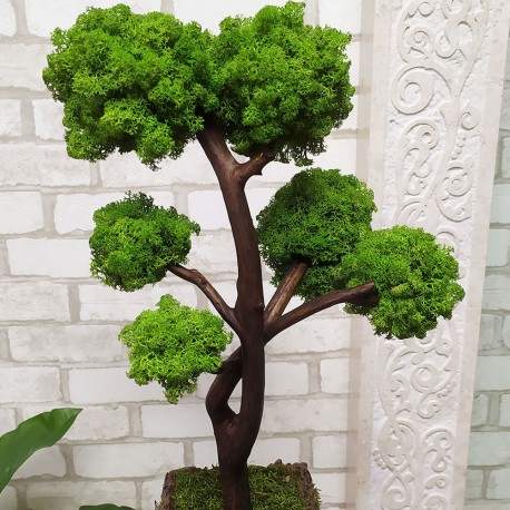Декоративний бонсай 79 дерево зі стабілізованого моху