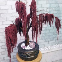 Декоративный бонсай 141 дерево из стабилизированного амаранта