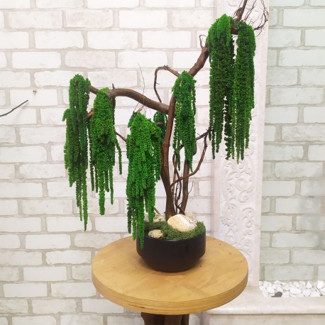 Декоративный бонсай 142 дерево из стабилизированного зеленого амаранта