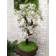 Дерево белая сакура 73 бонсай из искусственных цветов вишни