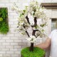 Дерево белая сакура 73 бонсай из искусственных цветов вишни