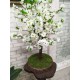 Дерево сакура 72 бонсай зі штучних білих квітів