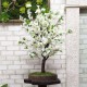 Дерево сакура 72 бонсай зі штучних білих квітів