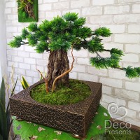 Декоративное настольное дерево бонсай №3