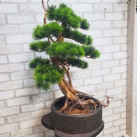 Искусственное дерево бонсай сосна 162
