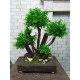 Бонсай штучний 77 Самшит