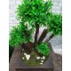 Бонсай штучний 77 Самшит