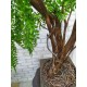 Искусственное дерево бонсай Ива 126