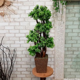 Бонсай декоративний самшитовий 108