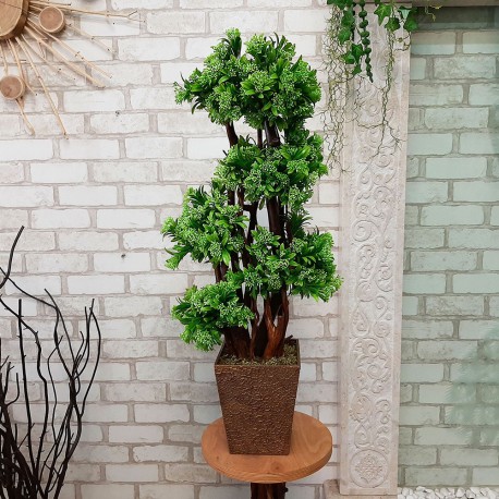 Бонсай декоративний самшитовий 108