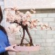 Кремовая сакура 17 искусственное дерево