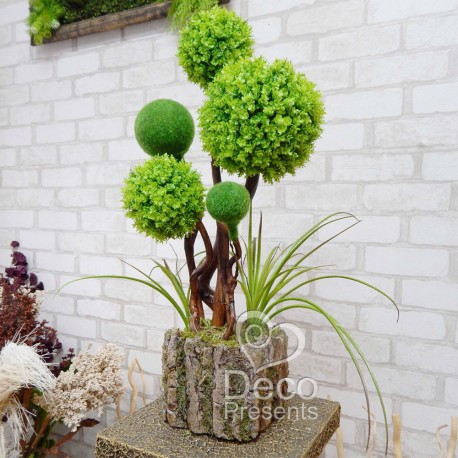 Дерево бонсай 53 с шарами самшита