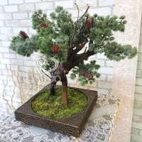 Декоративное дерево 15 бонсай голубая ель с шишками