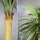 Пальма искусственная тройная 95 см