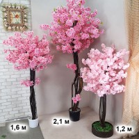 Деревья Сакуры Розовые для фотозоны