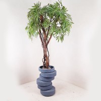 Ива декоративное дерево 110 см