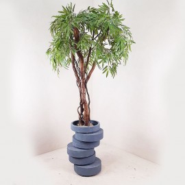 Ива декоративное дерево 110 см