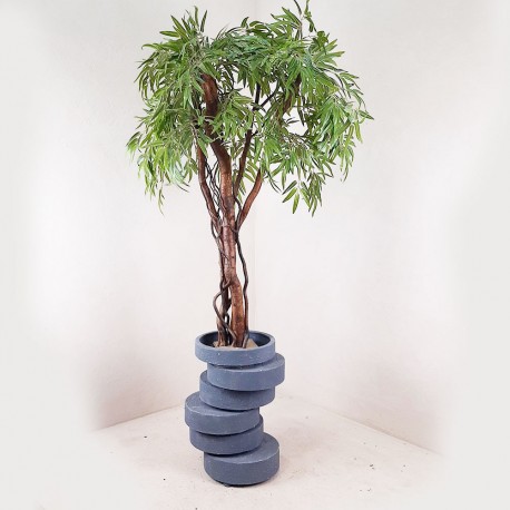 Верба декоративне дерево 110 см