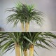 Пальма штучна потрійна 95 см
