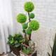 Ексклюзивний бонсай 45 із зелених кульок. Декоративне дерево для інтер'єру