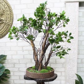 Декоративний бонсай 92 з листям лавра та штучним мохом