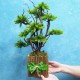 Настольный бонсай 100 с искусственной хвоей