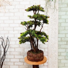 Искусственное дерево 109 бонсай сосна