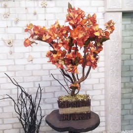 Осеннее дерево 134 бонсай с осенними листьями