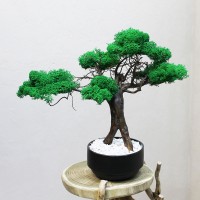 Декоративний бонсай 209 дерево зі стабілізованого моху