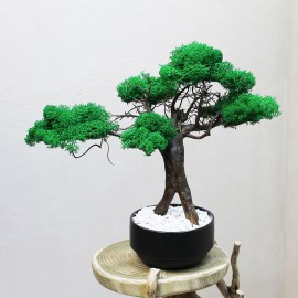 Декоративный бонсай 209 дерево из стабилизированного мха