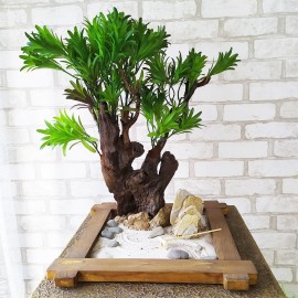 Бонсай 03 настольный сад камней