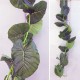 Лиана с искусственными листьями филодендрона