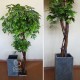 Клен двойной искусственный декоративное дерево