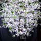 Дерево из цветов с лампочками
