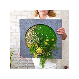 Картини з рослин та моху