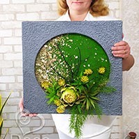 Картины из растений и мха