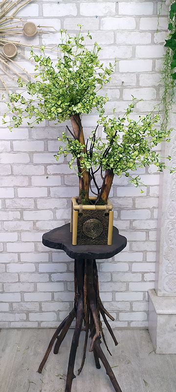 Декоративный бонсай 124 в вазоне из бамбука