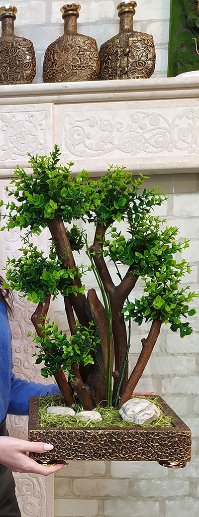 Бонсай 19 настольное декоративное самшитовое дерево