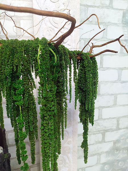 Декоративный бонсай 151 стабилизированное дерево из зеленого амаранта.